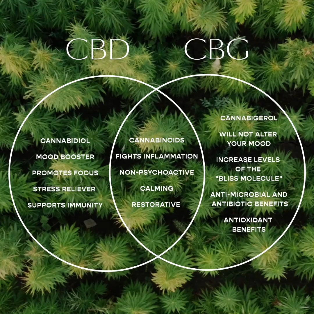 CBD Vs CBG What s The Difference Brookside CBD